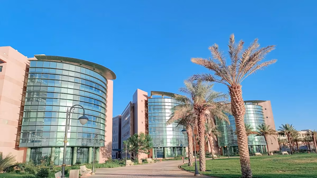 Tabuk University PMO
