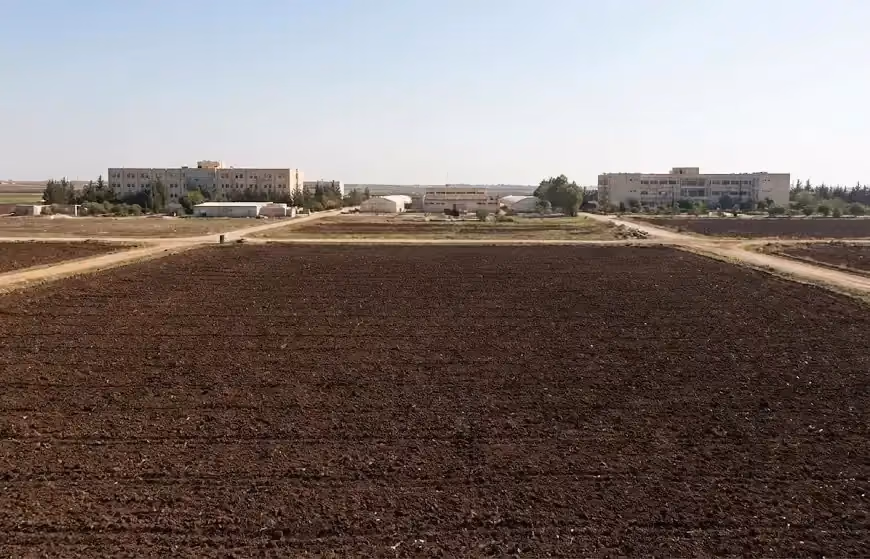 استثمار الأراضي الزراعية التابعة لجامعة حمص في كفر عيا (أرض زراعية لكلية الهندسة الزراعية)