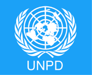 برنامج الأمم المتحدة الإنمائي (UNDP) في سوريا